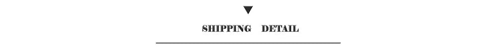 Shipping detail text in black centered above a line for decorbites f1 circuit canvas painting for living room wall decor