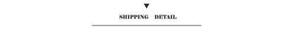 Shipping detail text in black centered above a line for decorbites™ f1 circuit canvas painting for living room wall decor