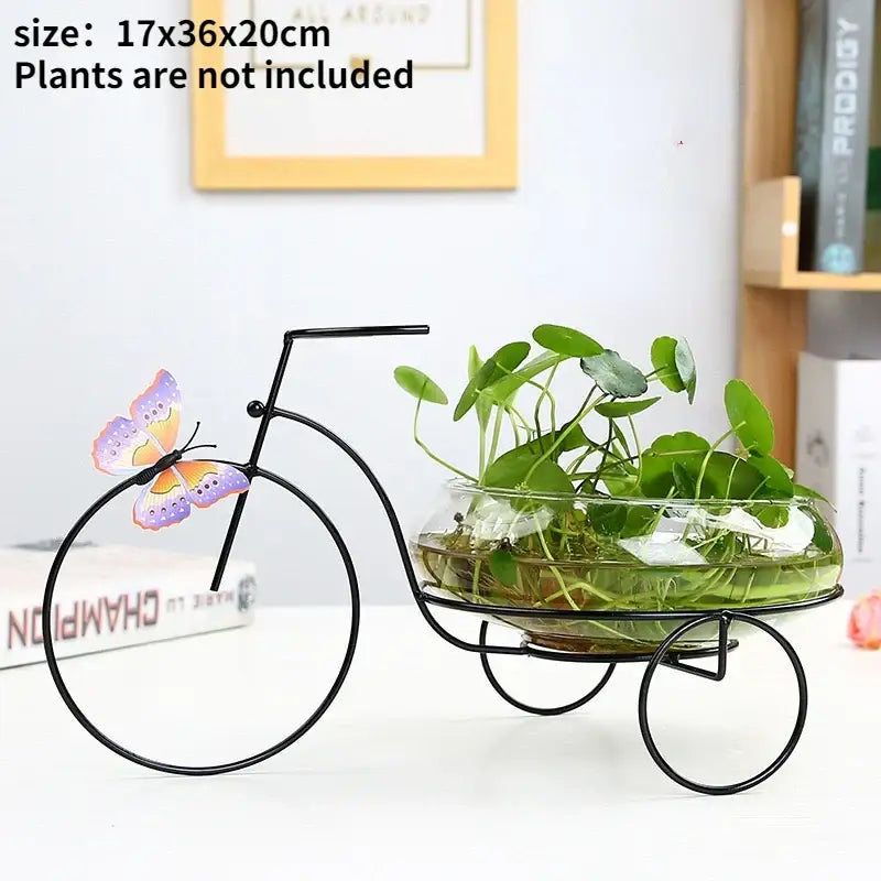 Black metal bicycle-shaped planter with clear glass bowl holding green plants and colorful butterfly decoration for home decor
