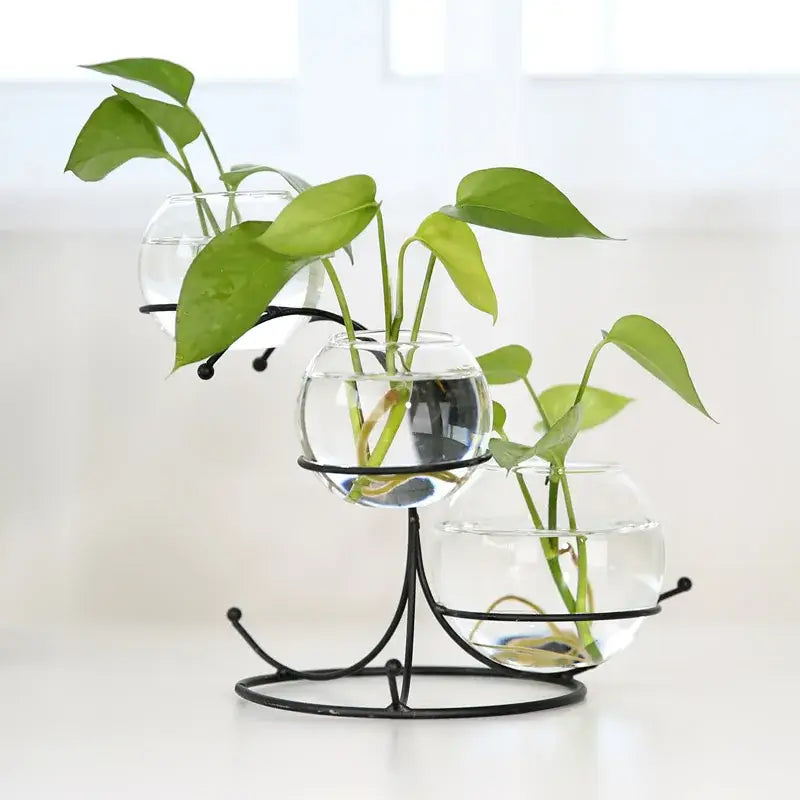 Clear glass spherical vases with black metal stands in the decorbites™ flamingo metal vase for home decor collection