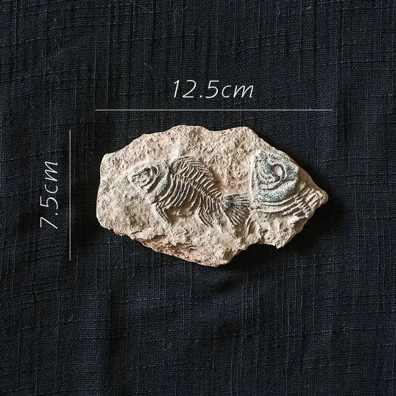 Beige fossilized fish sticker from decorbites fossil series art showcasing detailed skeletal structure for kitchen decor