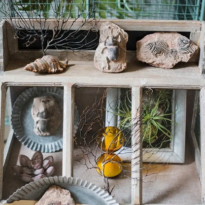 A rustic wooden display box with glass panels showcasing decorbites fossil series art refrigerator stickers and natural decor