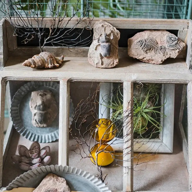 A rustic wooden display box with glass panels showcasing decorbites fossil series art refrigerator stickers and natural decor