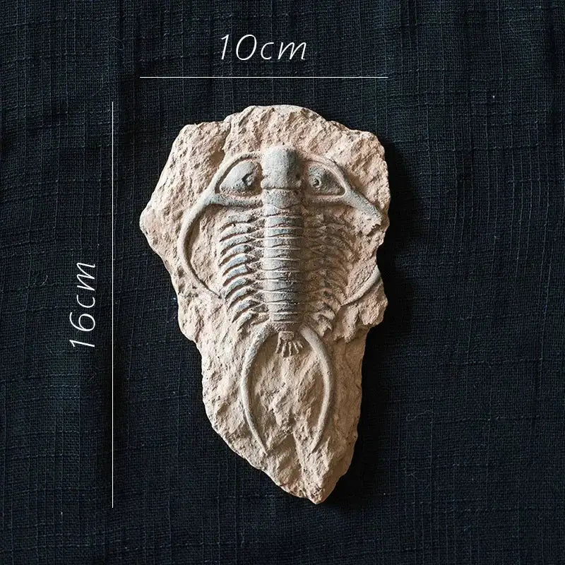 Beige textured fossilized trilobite rock slab sticker from decorbites fossil series art for kitchen refrigerator decor
