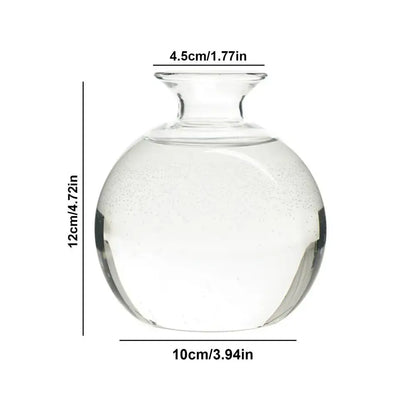 Clear glass seed starter vase by decorbites with rounded body and narrow neck for avocado seed growing, 12cm tall by 10cm wide