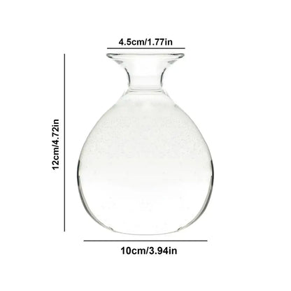Clear glass seed starter vase with rounded body and narrow neck for avocado seed in the decorbites kit