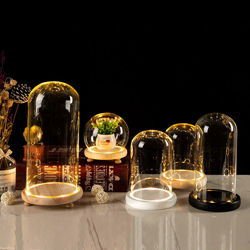 Glass Bell Jar Terrarium with LED Light - Vase