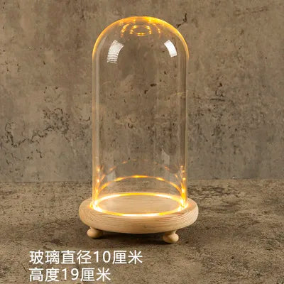 Glass Bell Jar Terrarium with LED Light - 10X19CM - Vase