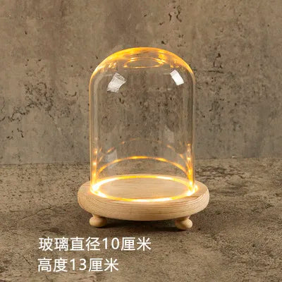 Glass Bell Jar Terrarium with LED Light - 10X13CM - Vase
