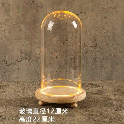 Glass Bell Jar Terrarium with LED Light - 12X22CM - Vase