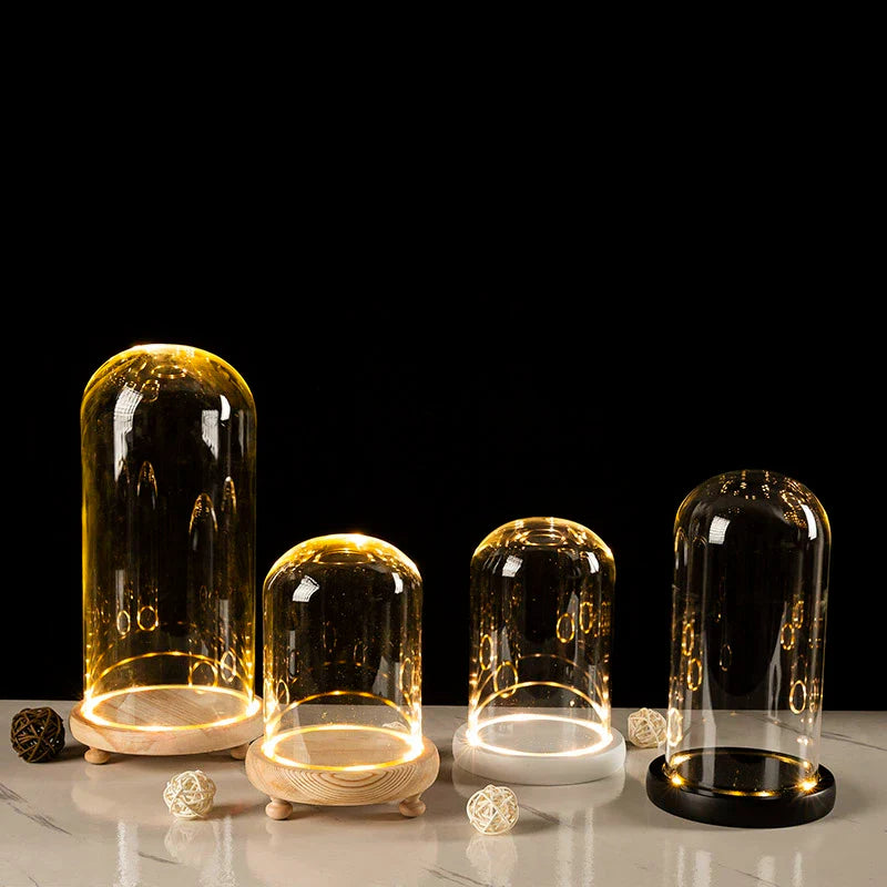 Glass Bell Jar Terrarium with LED Light - Vase