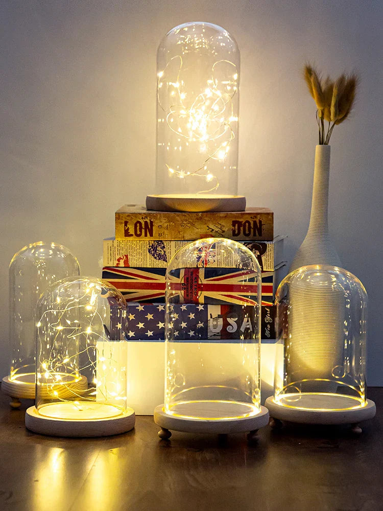 Glass Bell Jar Terrarium with LED Light - Vase