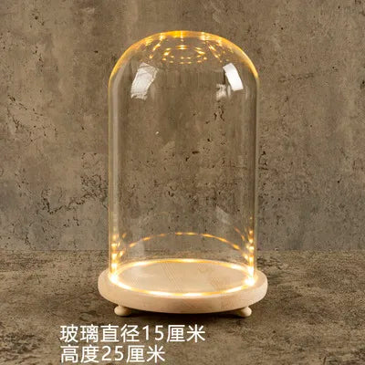 Glass Bell Jar Terrarium with LED Light - 15X25CM - Vase