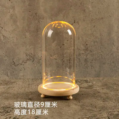 Glass Bell Jar Terrarium with LED Light - 9X18CM - Vase