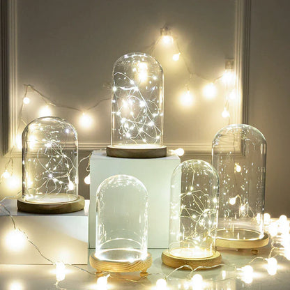 Glass Bell Jar Terrarium with LED Light - Vase