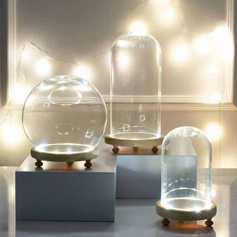 Glass Bell Jar Terrarium with LED Light - Vase