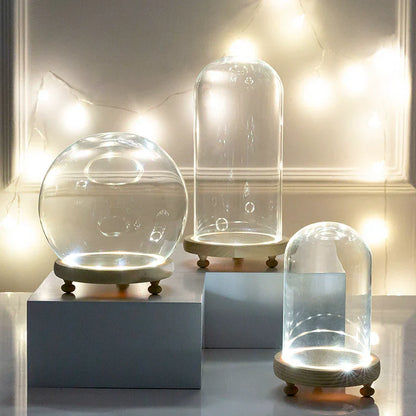 Glass Bell Jar Terrarium with LED Light - Vase
