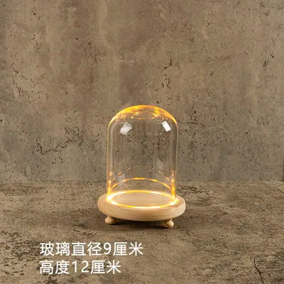 Glass Bell Jar Terrarium with LED Light - 9X12CM - Vase