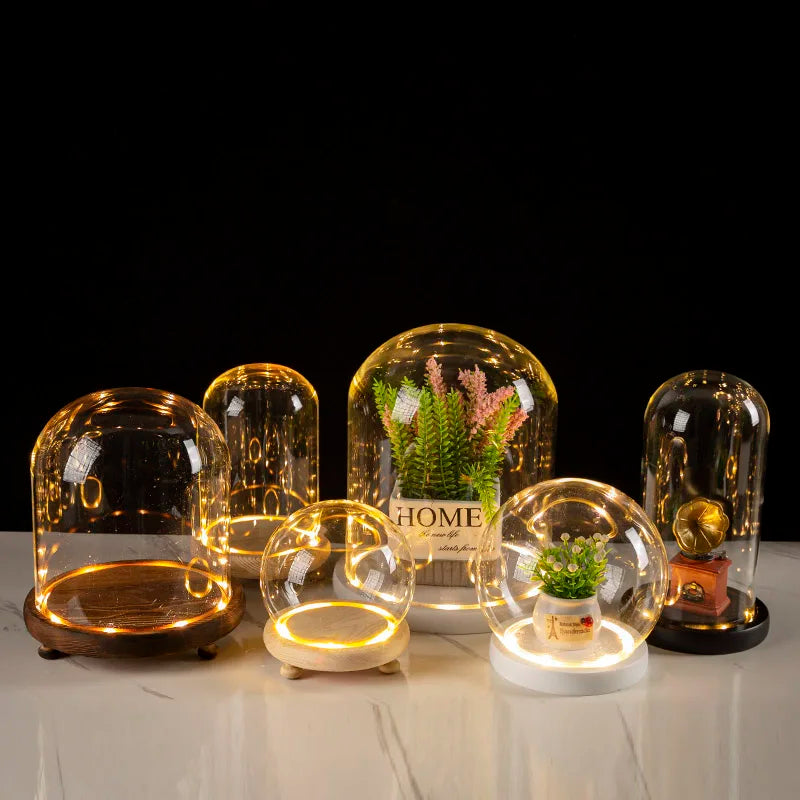 Glass Bell Jar Terrarium with LED Light - Vase