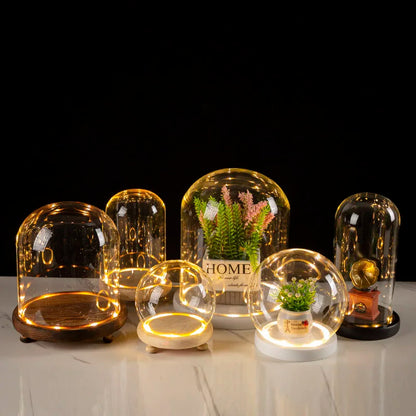 Glass Bell Jar Terrarium with LED Light - Vase
