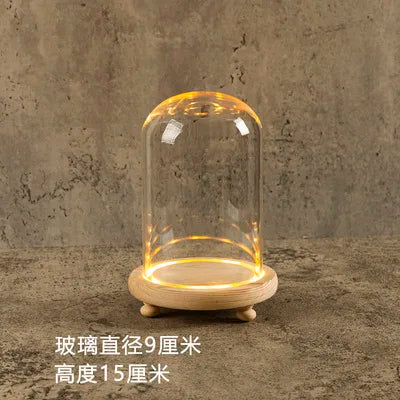 Glass Bell Jar Terrarium with LED Light - 9X15CM - Vase
