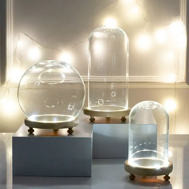 DecorBites™ glass bell jar terrarium with clear glass dome wooden base and internal LED light illumination