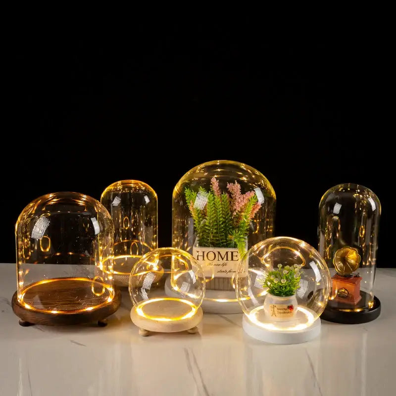 Decorbites glass bell jar terrarium with warm led light in clear glass and wooden or white bases displayed