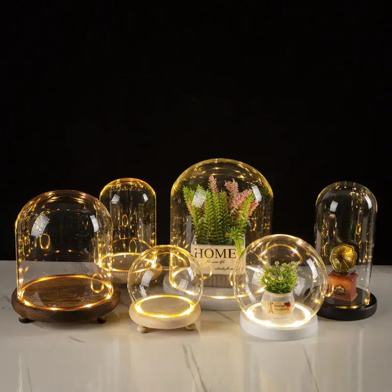 DecorBites™ glass bell jar terrarium with clear dome, warm led lighting, and wooden or white base display cases