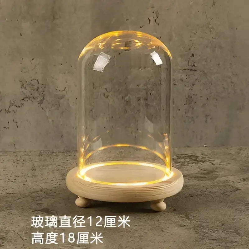 Decorbites glass bell jar terrarium with clear glass dome warm led lighting on light wood base