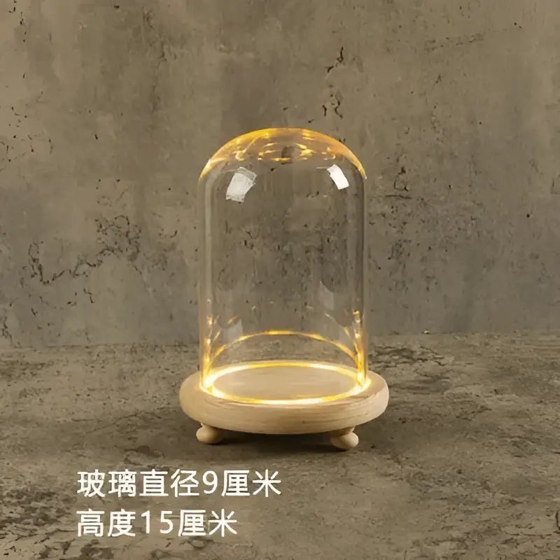 Decorbites glass bell jar terrarium with clear glass dome and warm led light ring on natural wood base