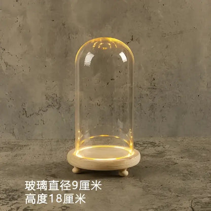 Decorbites™ glass bell jar terrarium with led light featuring clear glass dome glowing warmly on a wooden base
