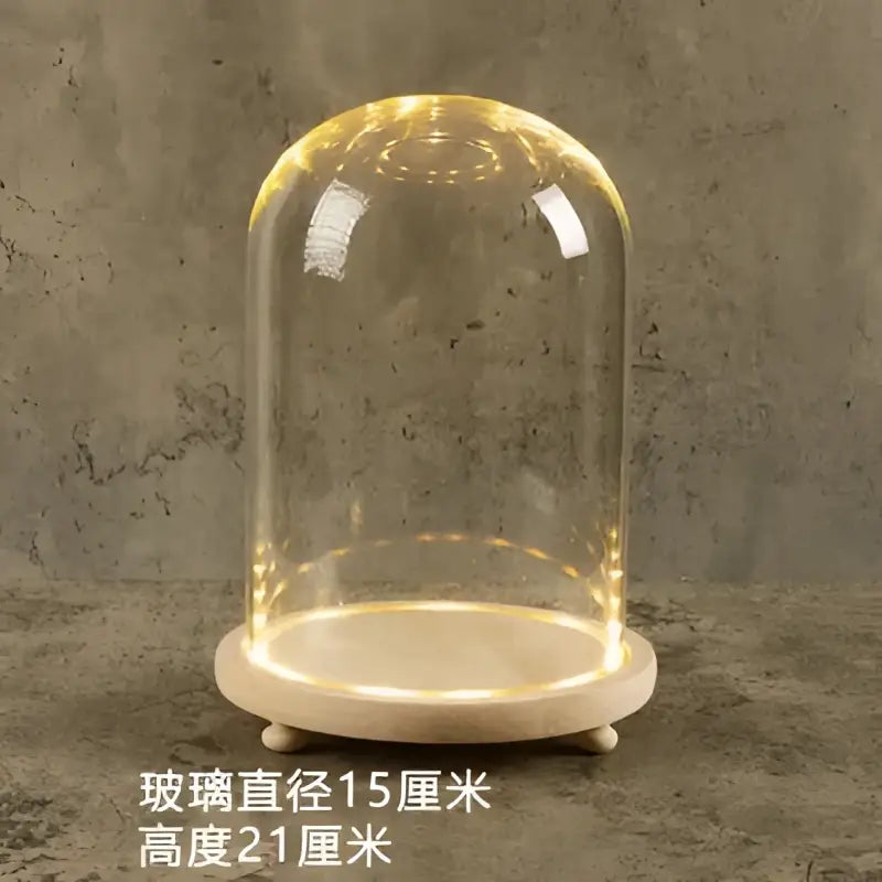 Clear glass DecorBites™ bell jar terrarium with warm LED lighting on a light wooden base for decorative use