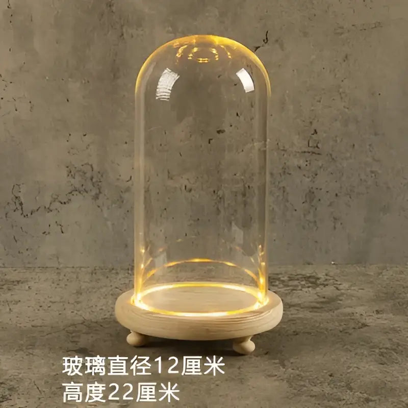Decorbites™ glass bell jar terrarium with warm glowing led light inside clear glass dome and wooden base