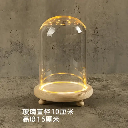 Decorbites glass bell jar terrarium with clear glass dome warm led lighting on light wood base for home decor