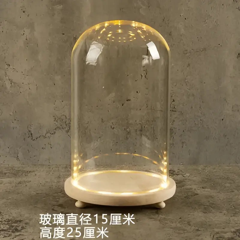 DecorBites™ glass bell jar terrarium with warm LED lights on clear dome and light wooden stand for elegant display
