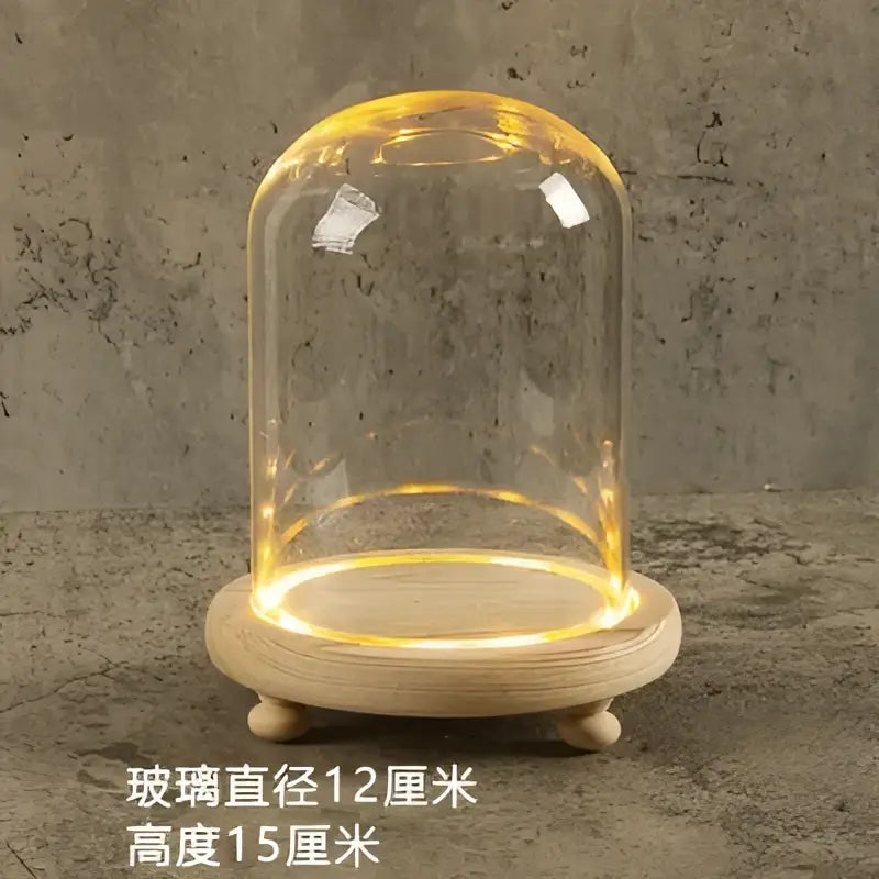 DecorBites™ glass bell jar terrarium with clear dome and warm LED lighting on a light wood base
