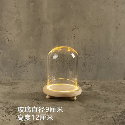 Decorbites glass bell jar terrarium with clear dome and warm led light ring on natural wood base