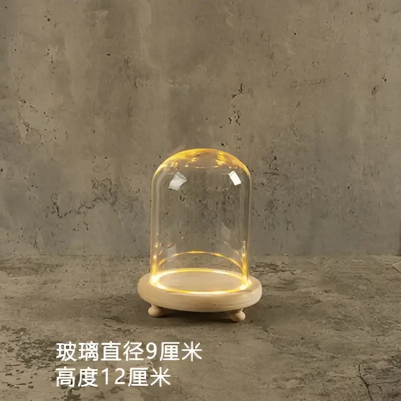 Decorbites glass bell jar terrarium with clear dome and warm led light ring on natural wood base