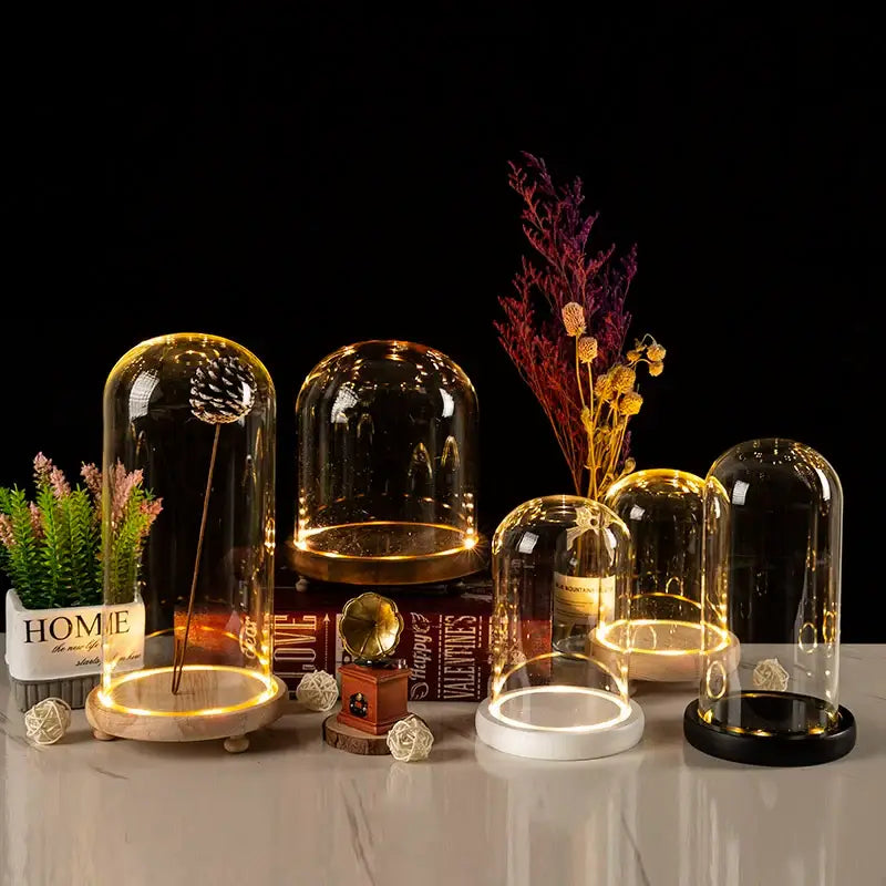 DecorBites™ glass bell jar terrarium with clear dome and warm LED light ring for elegant jar terrarium display
