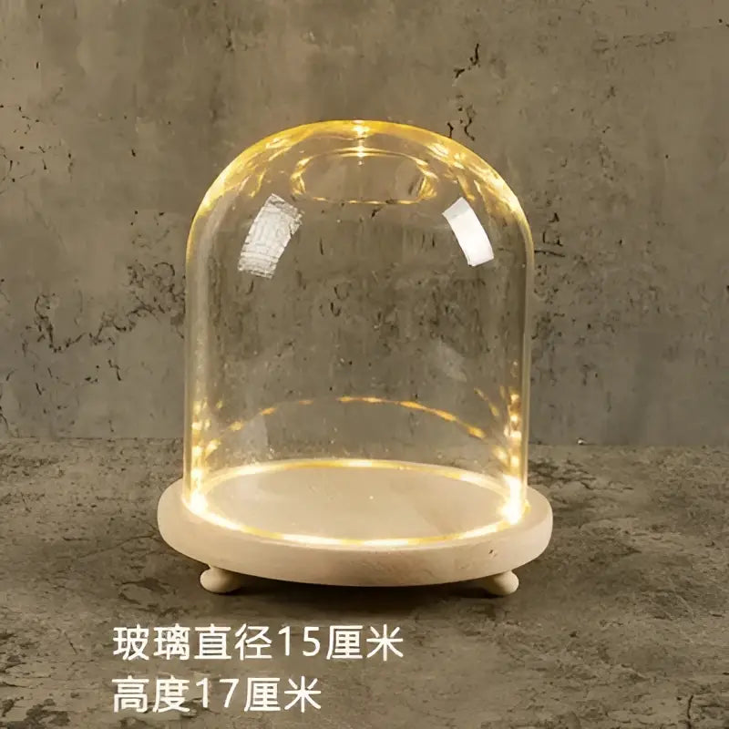 Decorbites™ glass bell jar terrarium with warm led lights and light wooden base ideal for elegant home decor