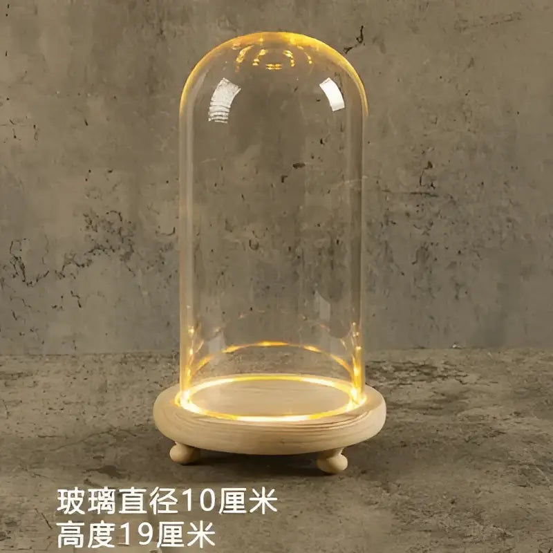 Decorbites glass bell jar terrarium with clear dome and warm led light ring on wooden pedestal for indoor decor