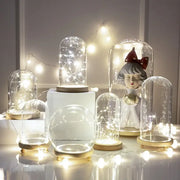 DecorBites™ glass bell jar terrarium with clear dome, wooden base, and embedded LED fairy lights for decor use