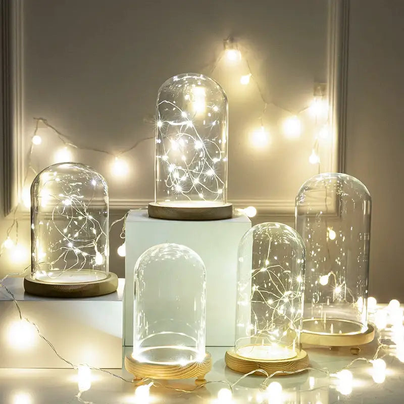 Decorbites glass bell jar terrarium with warm white led lights inside clear glass bell jar on wooden base