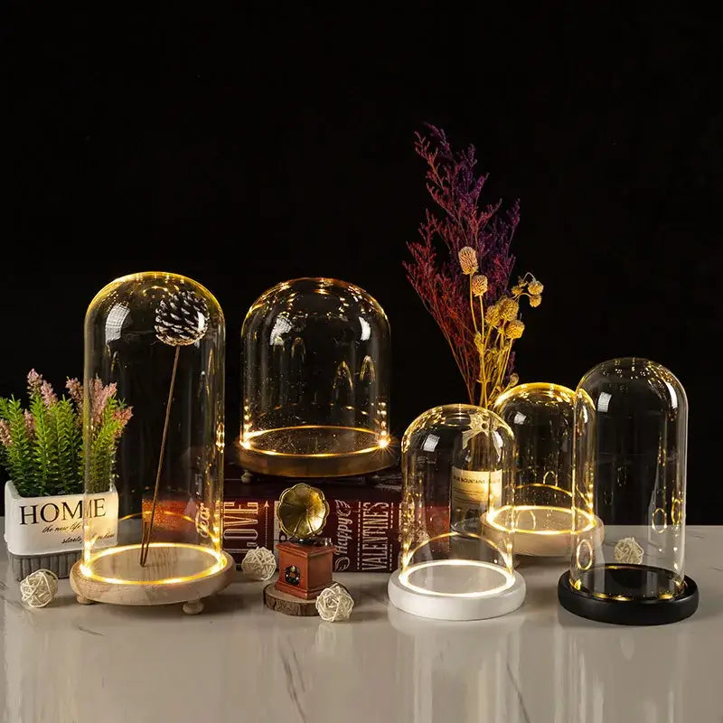 DecorBites™ glass bell jar terrarium with warm led light and wood white and black base color options