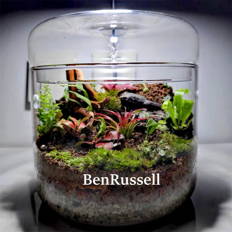 DecorBites™ Glass Bottle Terrarium Kit