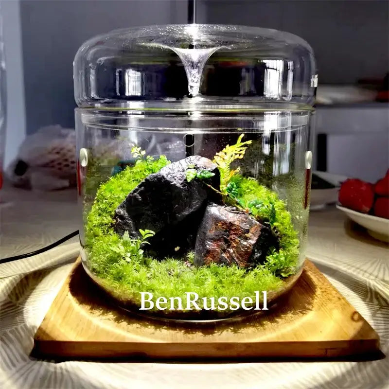 Decorbites™ glass bottle terrarium kit featuring a clear glass bottle with vibrant green moss and dark rocks landscape glass