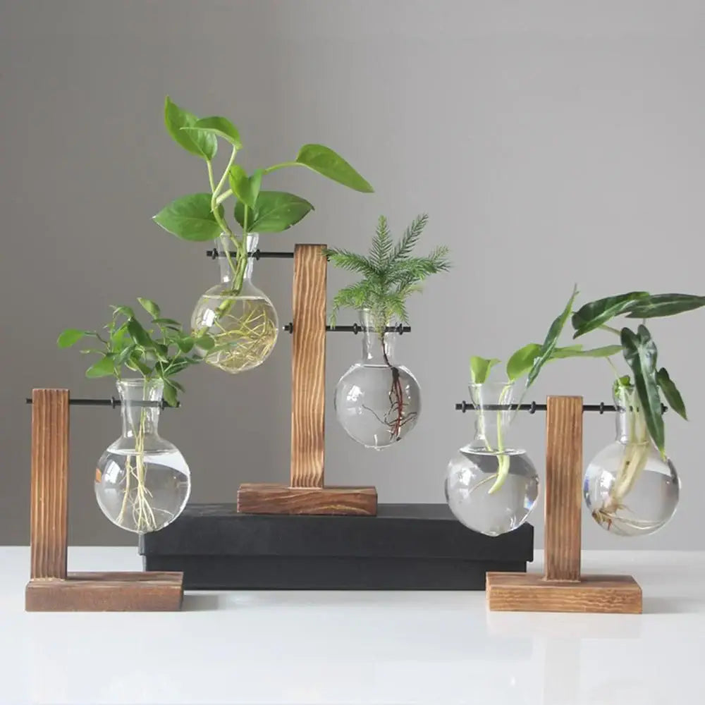 Set of five clear glass bulb vases with green plants on wooden stand by DecorBites™ for stylish home decor