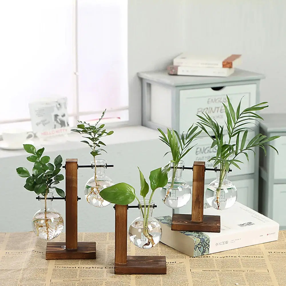 Set of three clear glass bulb vase planters with green plants on wooden stands by decorbites glass bulb vase