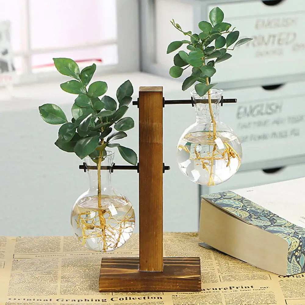 DecorBites™ glass bulb vase with wooden stand holding two clear glass bulb vases with green plants and visible roots