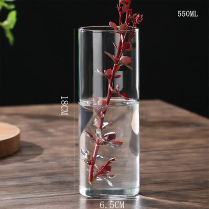 Glass Hydroponic Desktop Planter Vase - 6.5x18cm - Vase